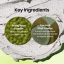 beplain Mung Bean Pore Clay Mask