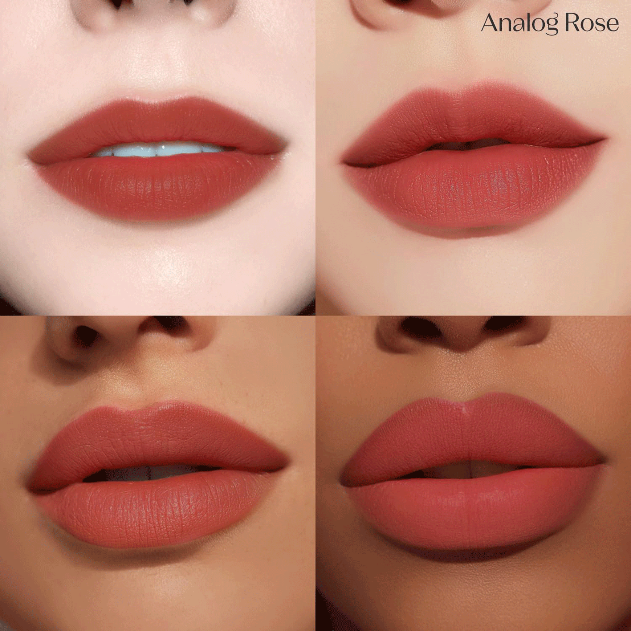ETUDE #01 Analog Rose ETUDE Fixing Tint 4g (#01 Analog Rose )
