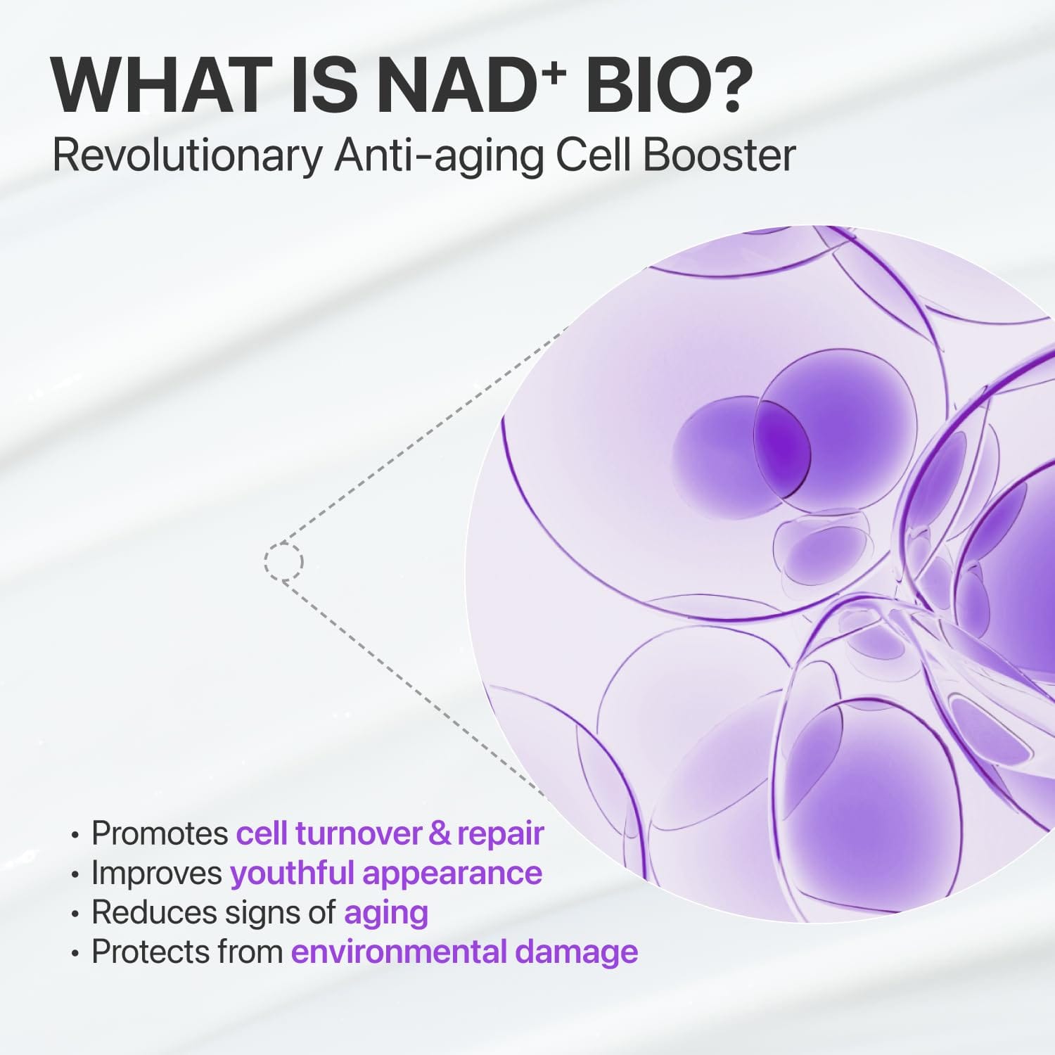 Numbuzin [numbuzin] no.9 NAD+ BIO Lifting-sil Essence 50ml