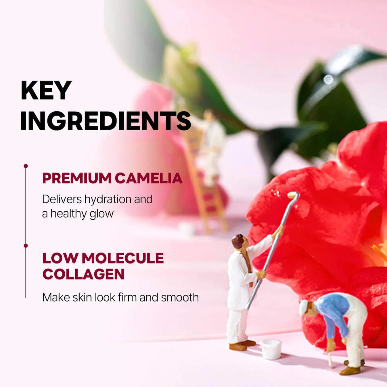 Round Lab Round Lab Camellia Deep Collagen Firming Gel Mask 34g(1ea)