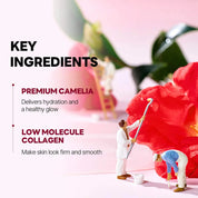 Round Lab Round Lab Camellia Deep Collagen Firming Gel Mask 34g(1ea)