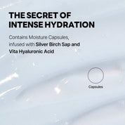 Round Lab [Round Lab] Renewal Birch Juice Moisturizing Cream 80ml