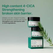 SOME BY MI AHA.BHA.PHA 30days Miracle Cream 60g