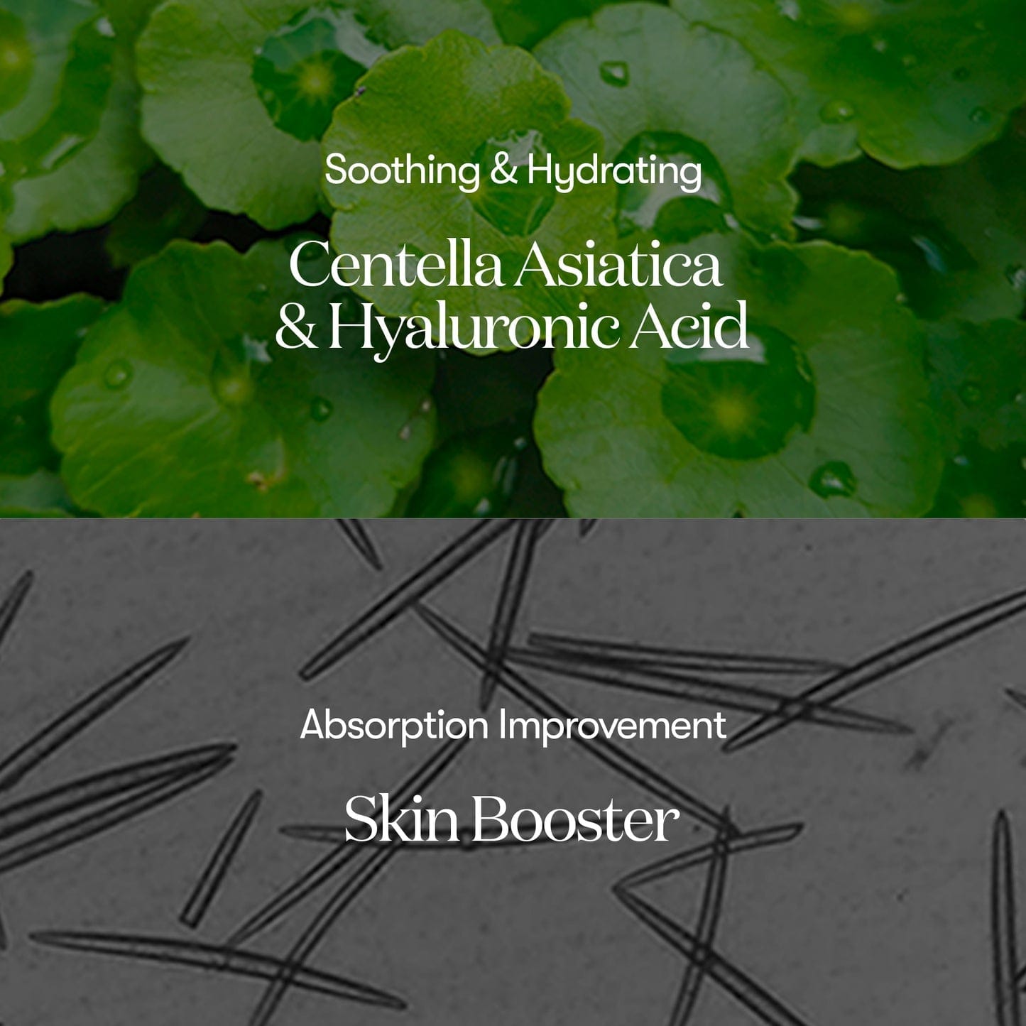 VT COSMETICS VT COSMETICS Reedle Shot 100 serum 50ml